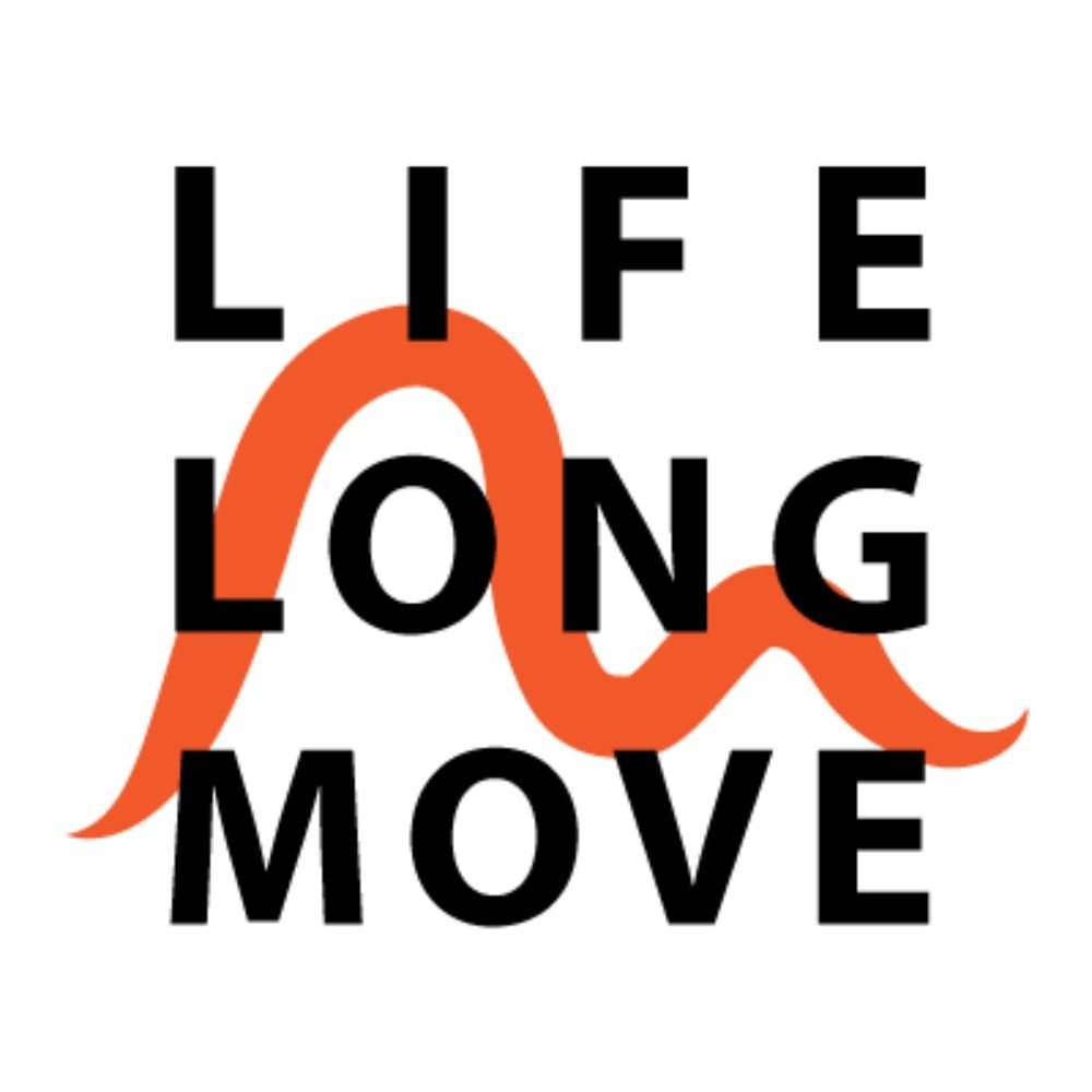 LIFELONGMOVE Project
