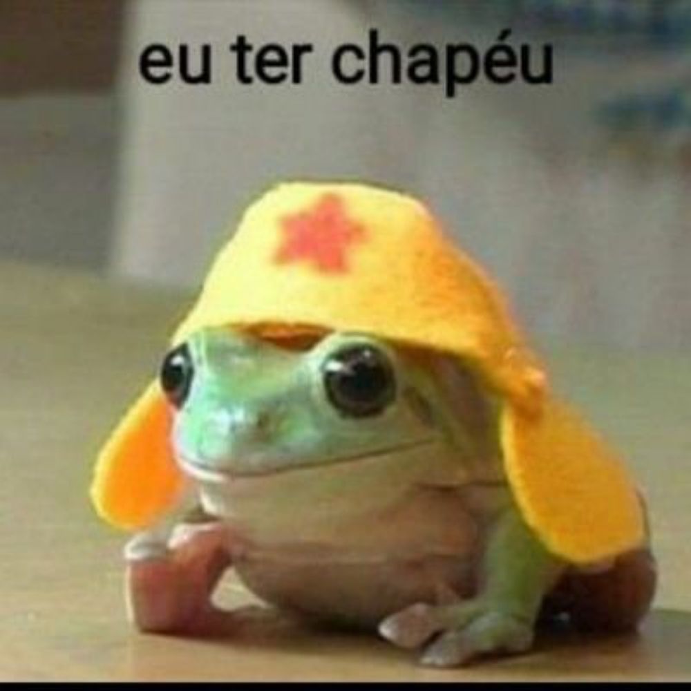 Sapo_de_chapéuライト
