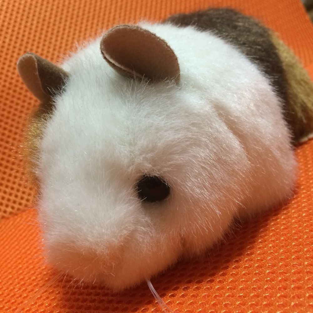おぉん