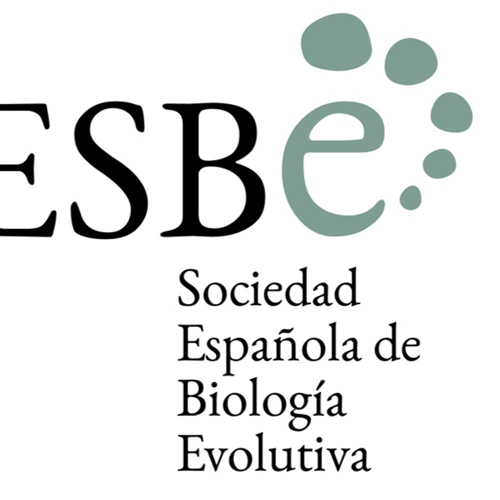 SESBE