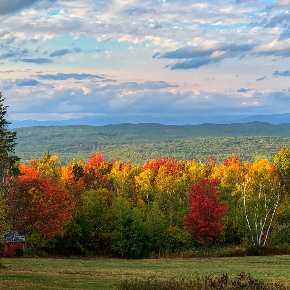 Top of the Ridge Farm B&B