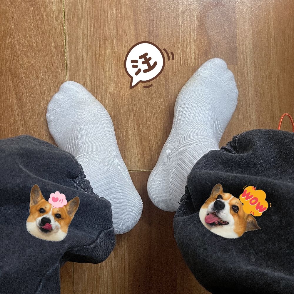 亦澄 🔒Dog