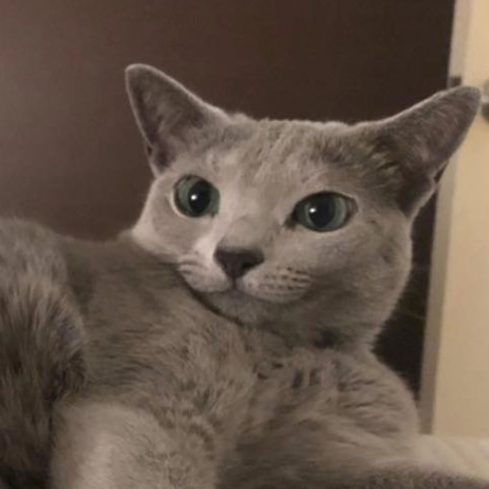 wwwllcq