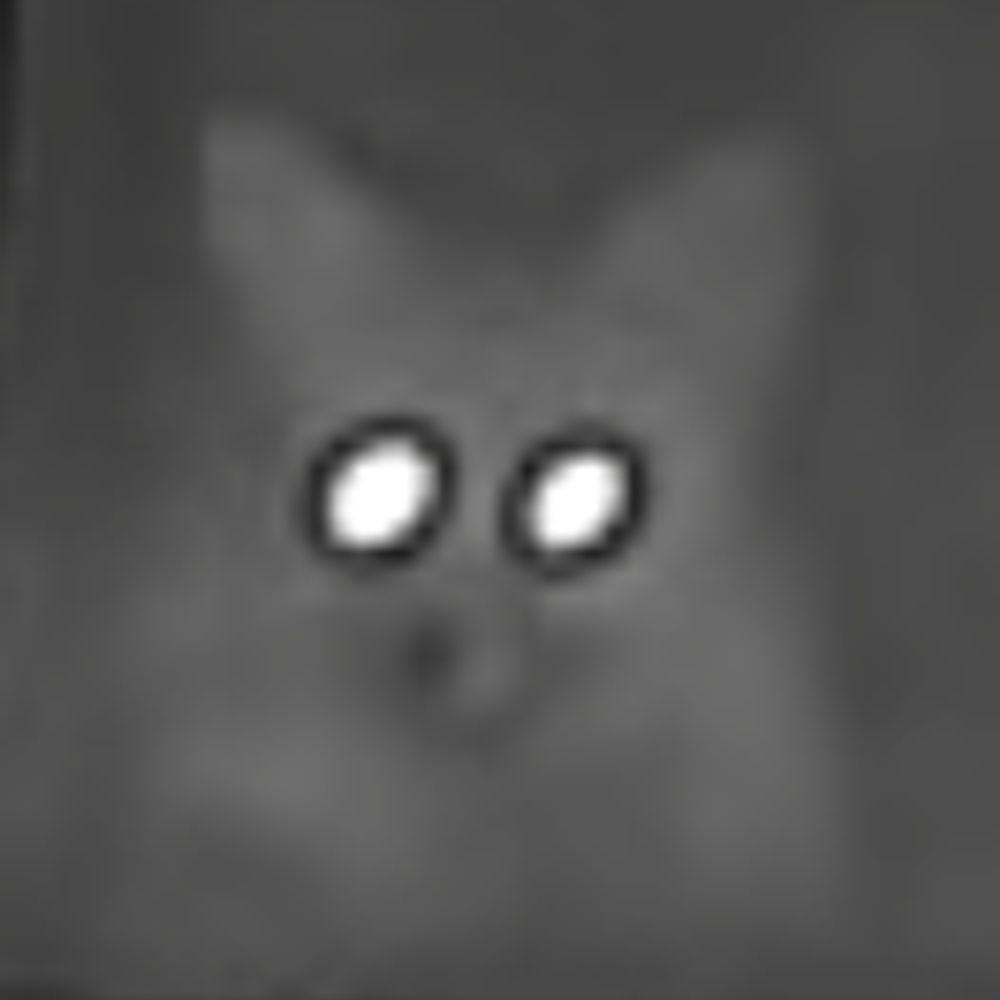 Rabid Wailing Feral