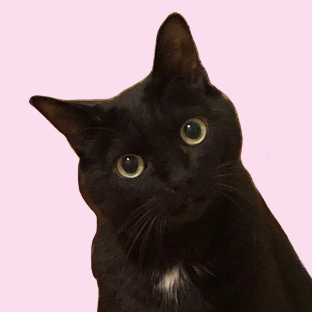 bebe