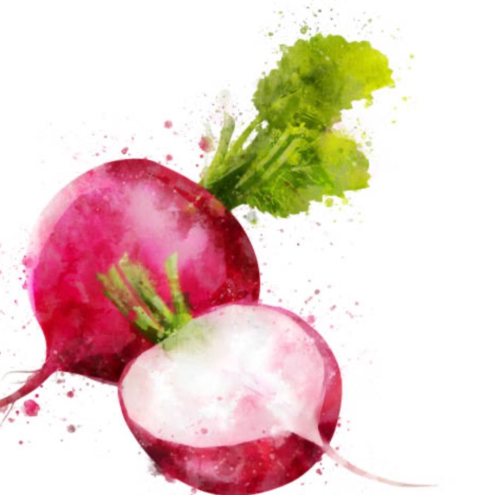 radish.before.sunset
