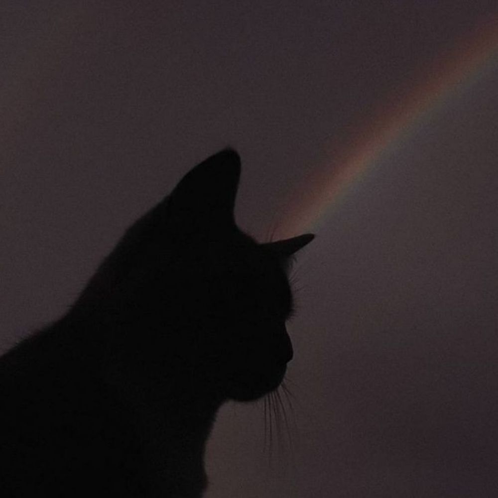 ✧✿T0k1t0✿✧