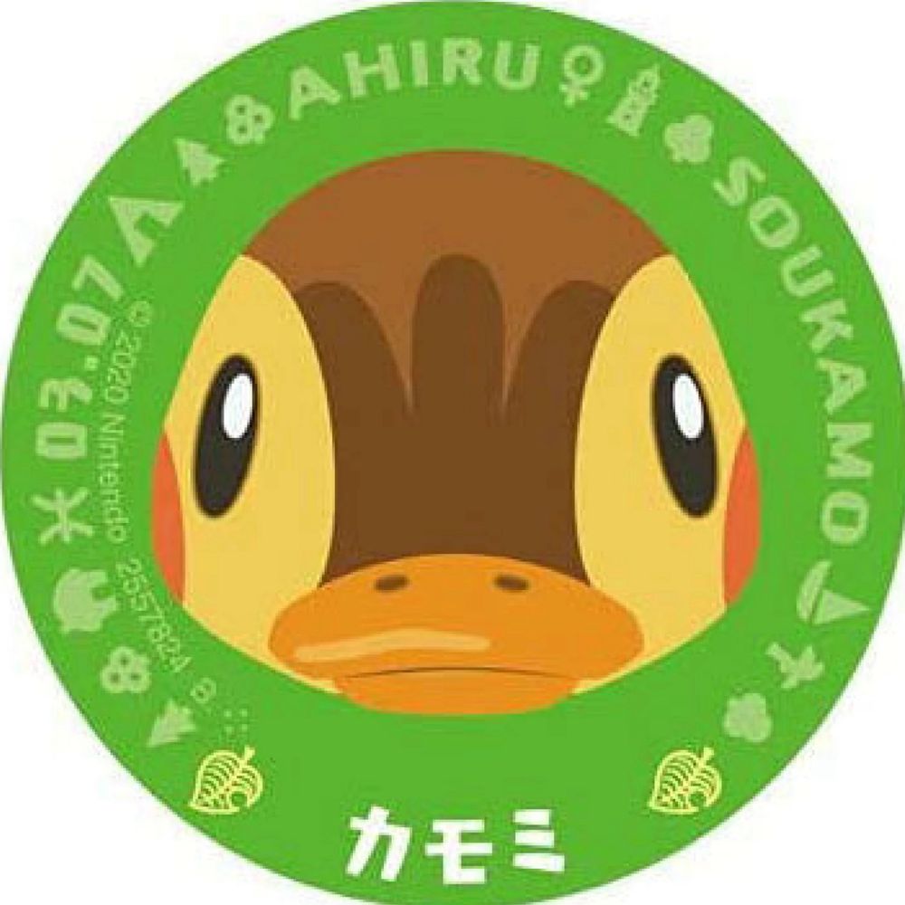 みぃさん