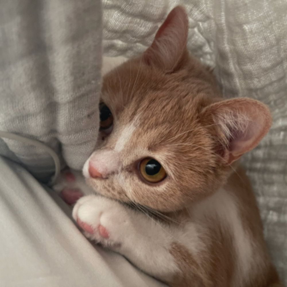 あゑお