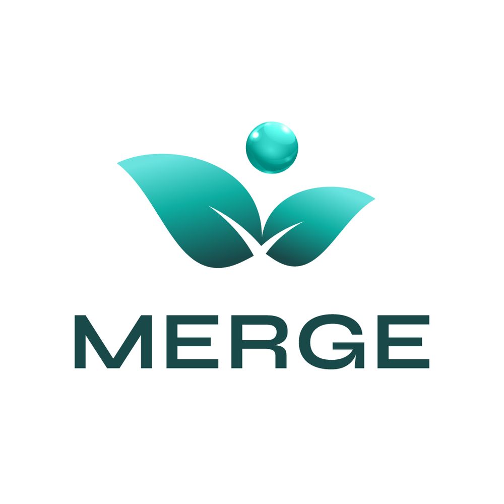 MERGE Twinning Project