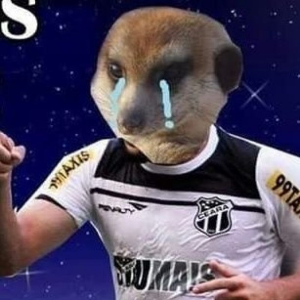 Neta do Vozão | Em busca do Acesso 🤍🖤