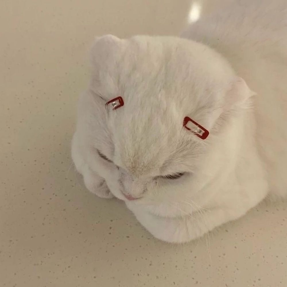 сибилла печатает