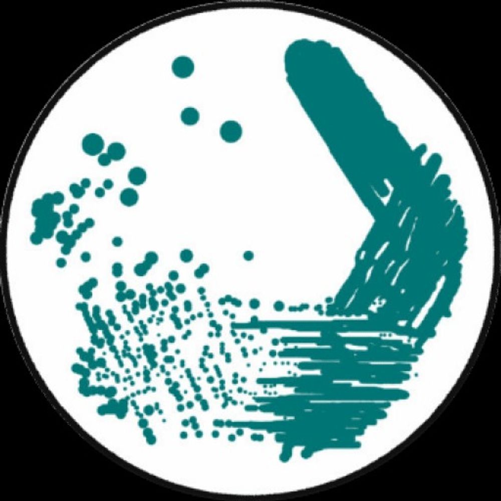 Microbiologia Italia