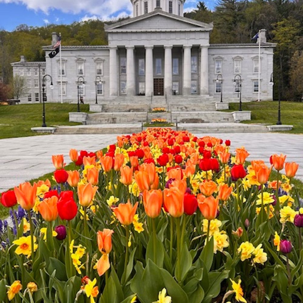 Vermont Senate Democrats