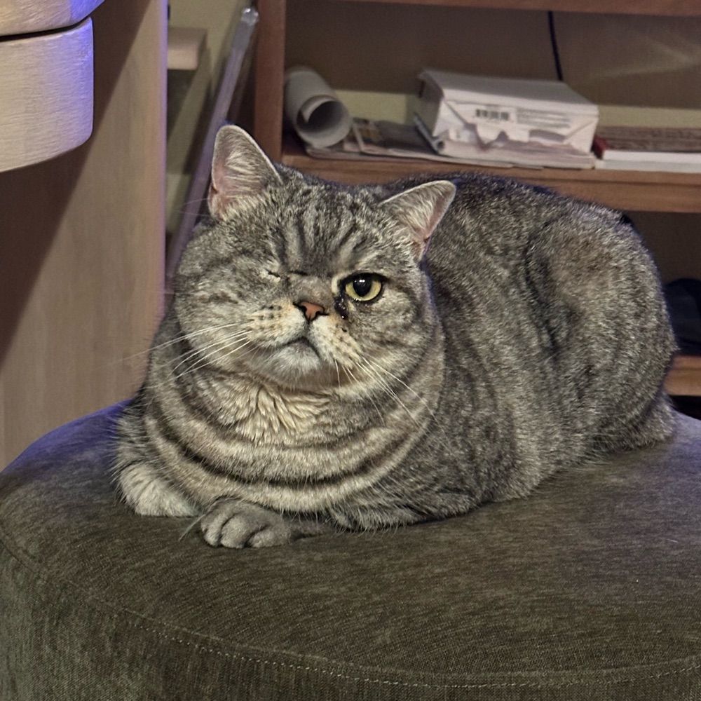 Beyda Şükür