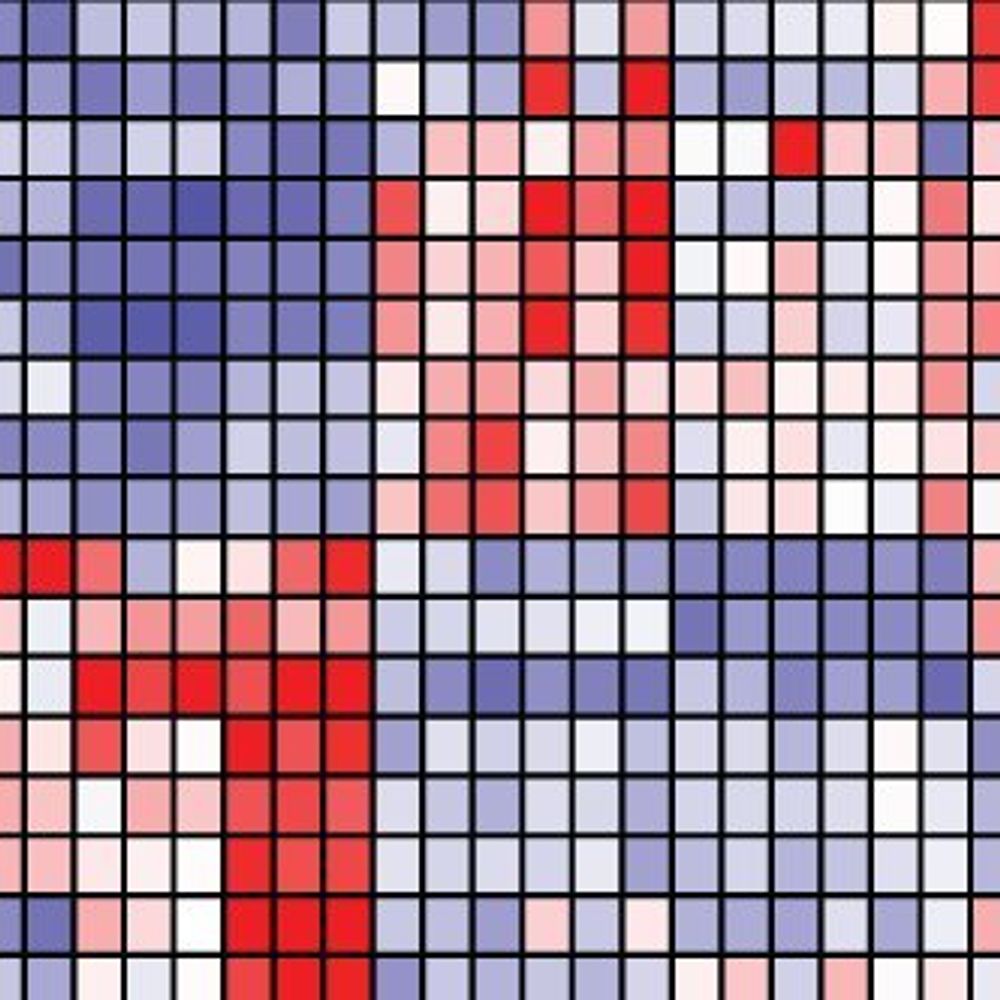 RNA Medicine Group (Oxford)