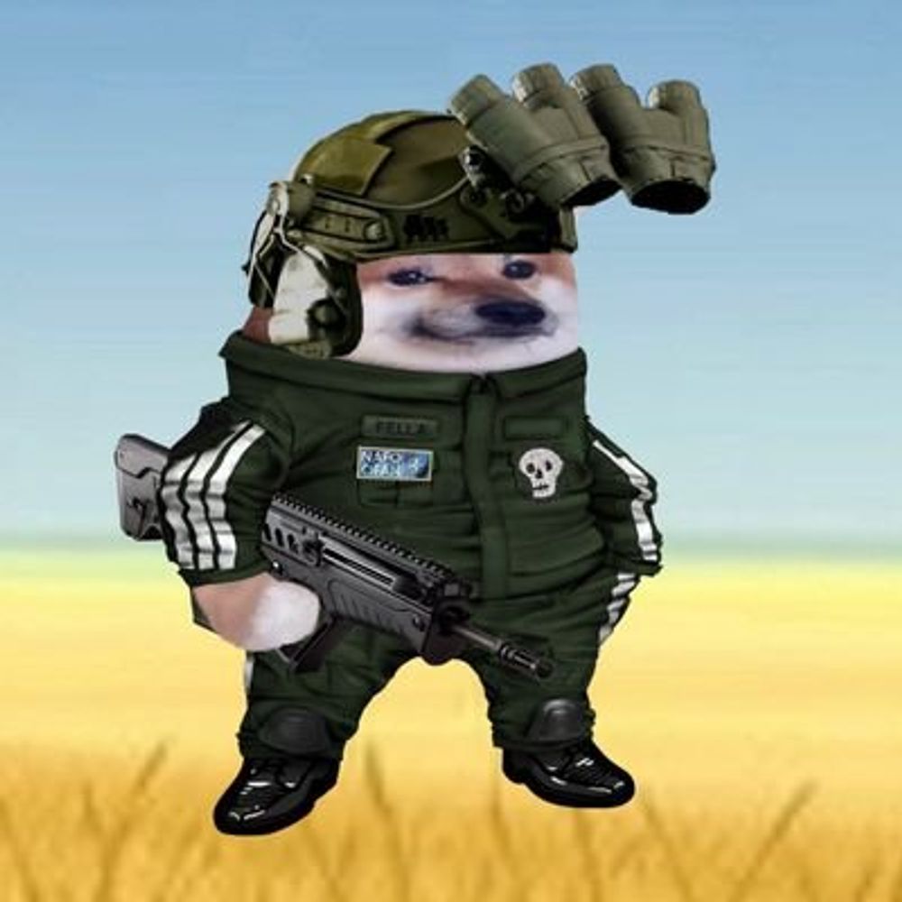 Unit55SGT 🇺🇸 🇺🇦