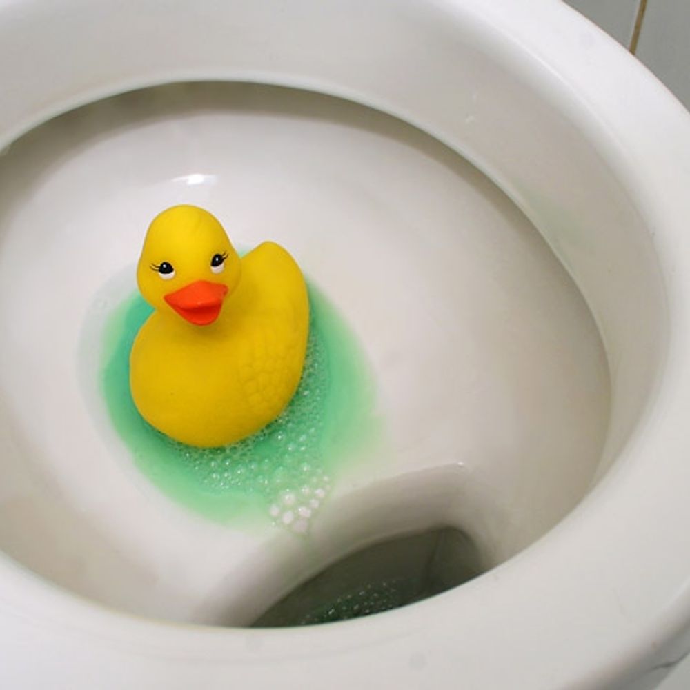 WC-Ente.bsky.social