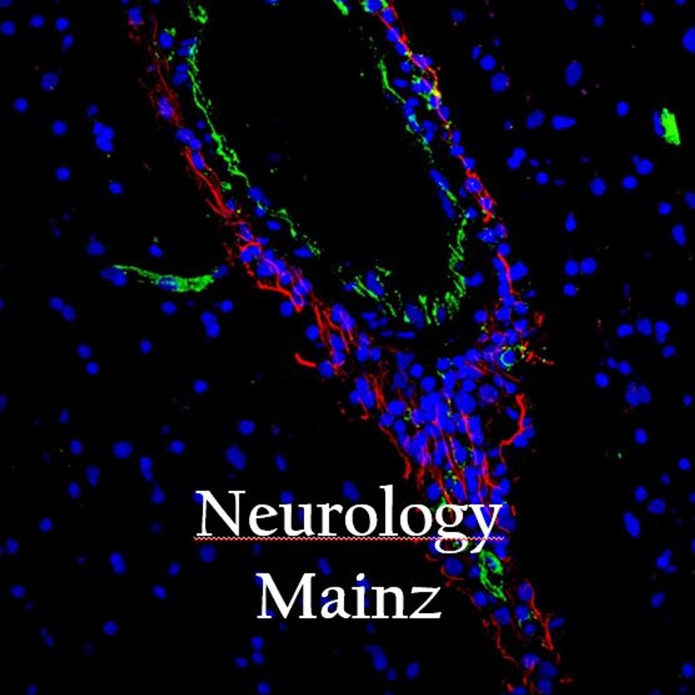 Neurology Mainz
