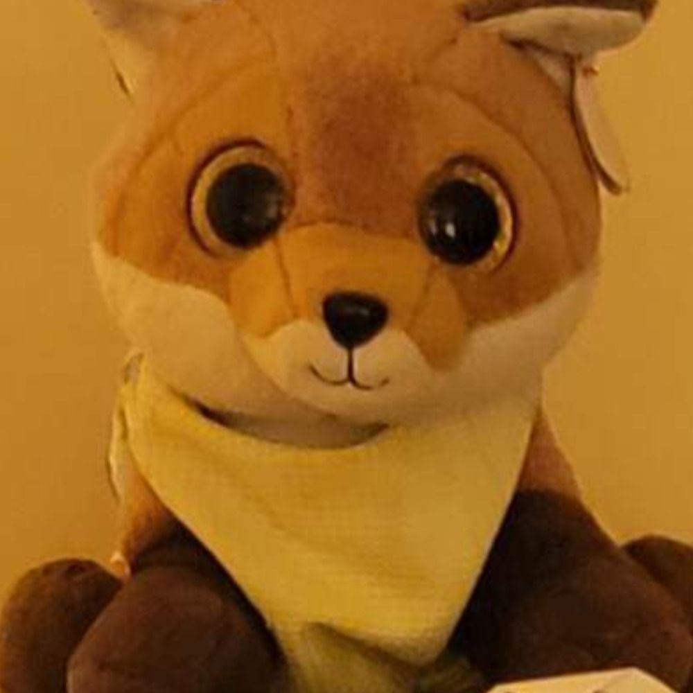 Littlesafefopsy