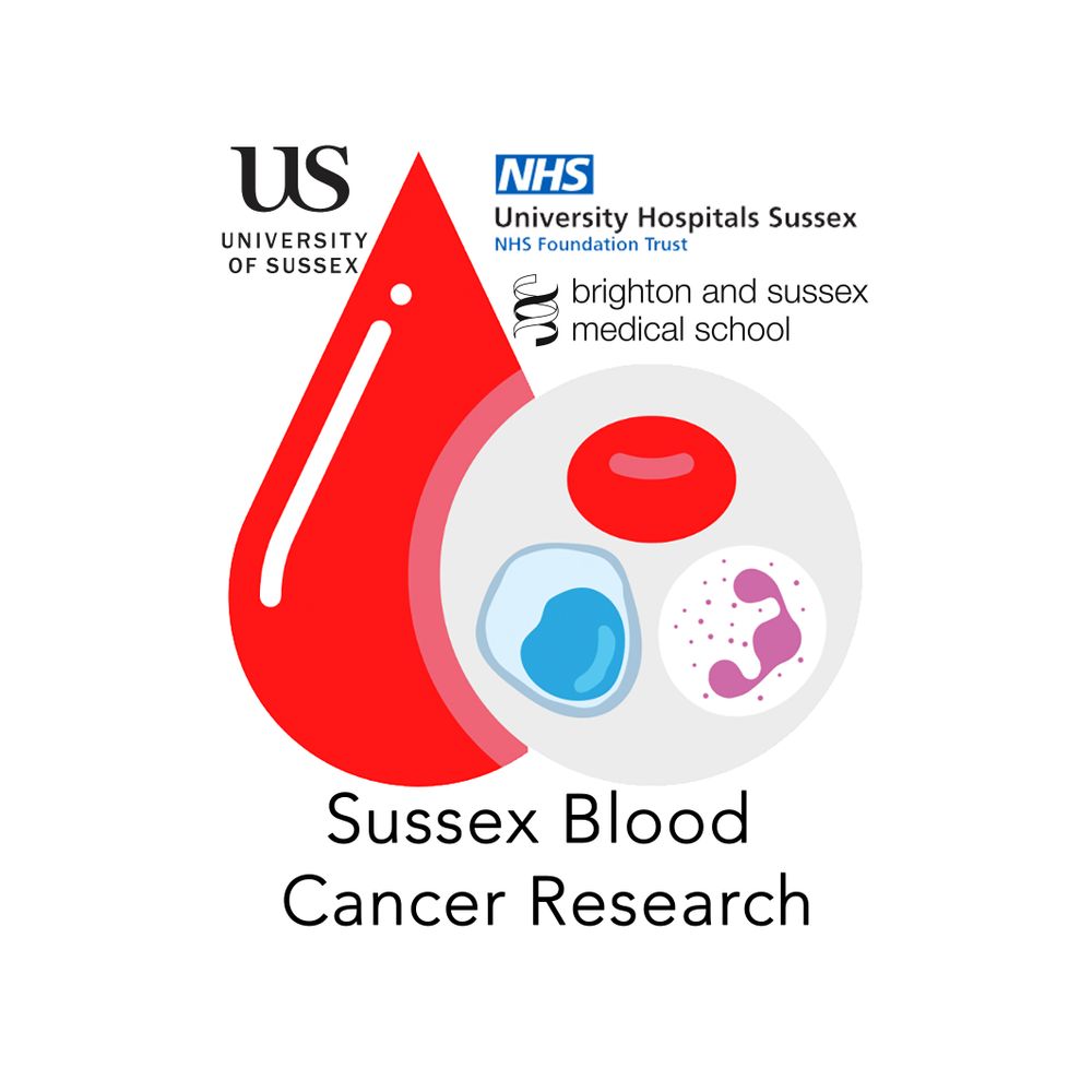 Sussex Blood Cancer Research