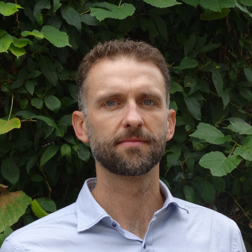 Michael Vlassopoulos