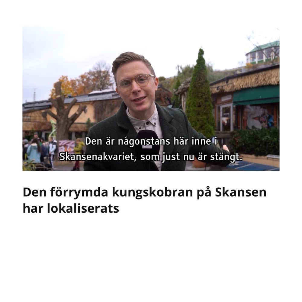 Lucas Dahlström