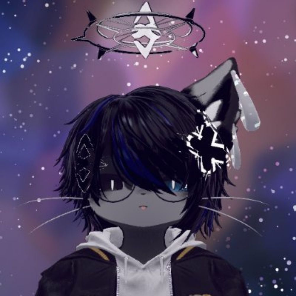 破損猫