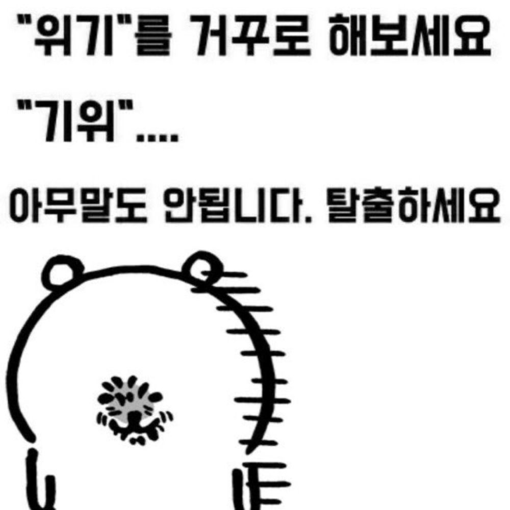 기대해줘♥