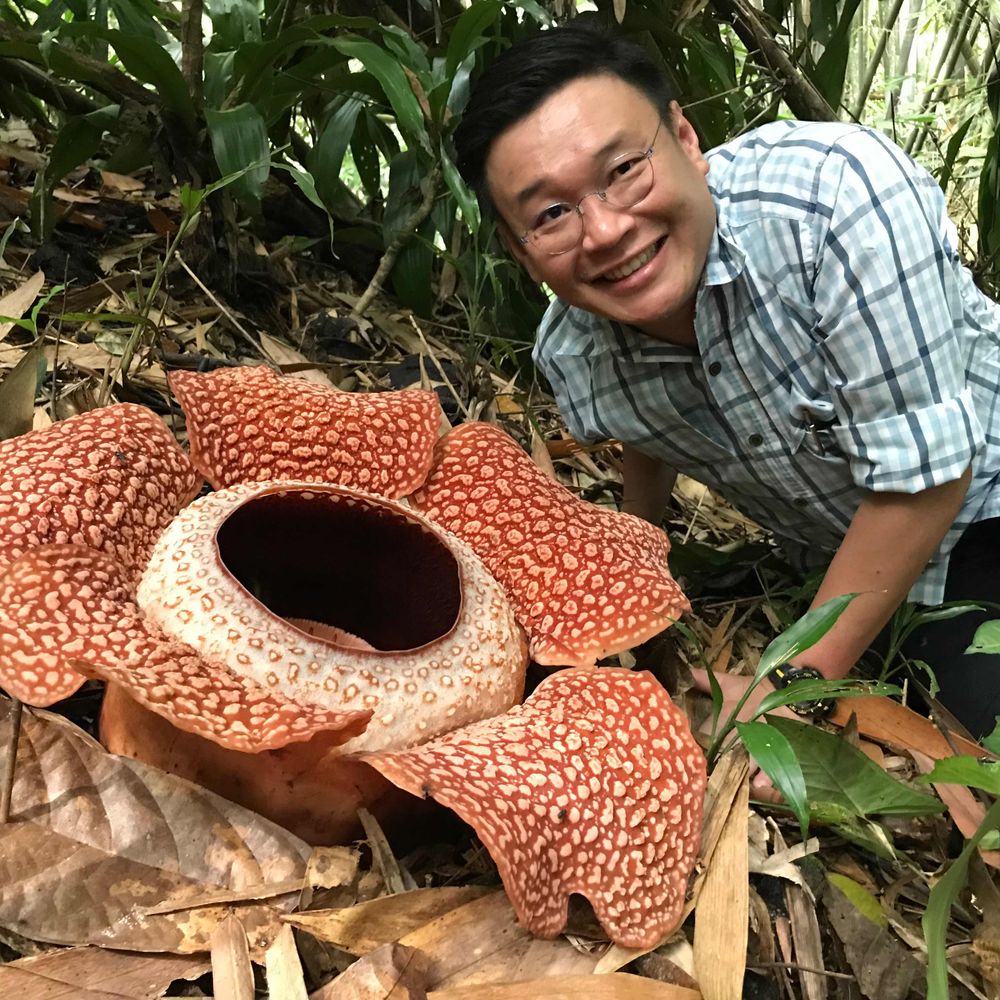 YeeWen Low (刘 逸 汶)