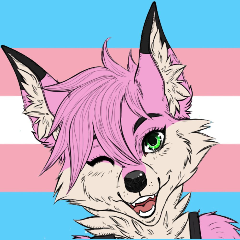 Sugar Fox