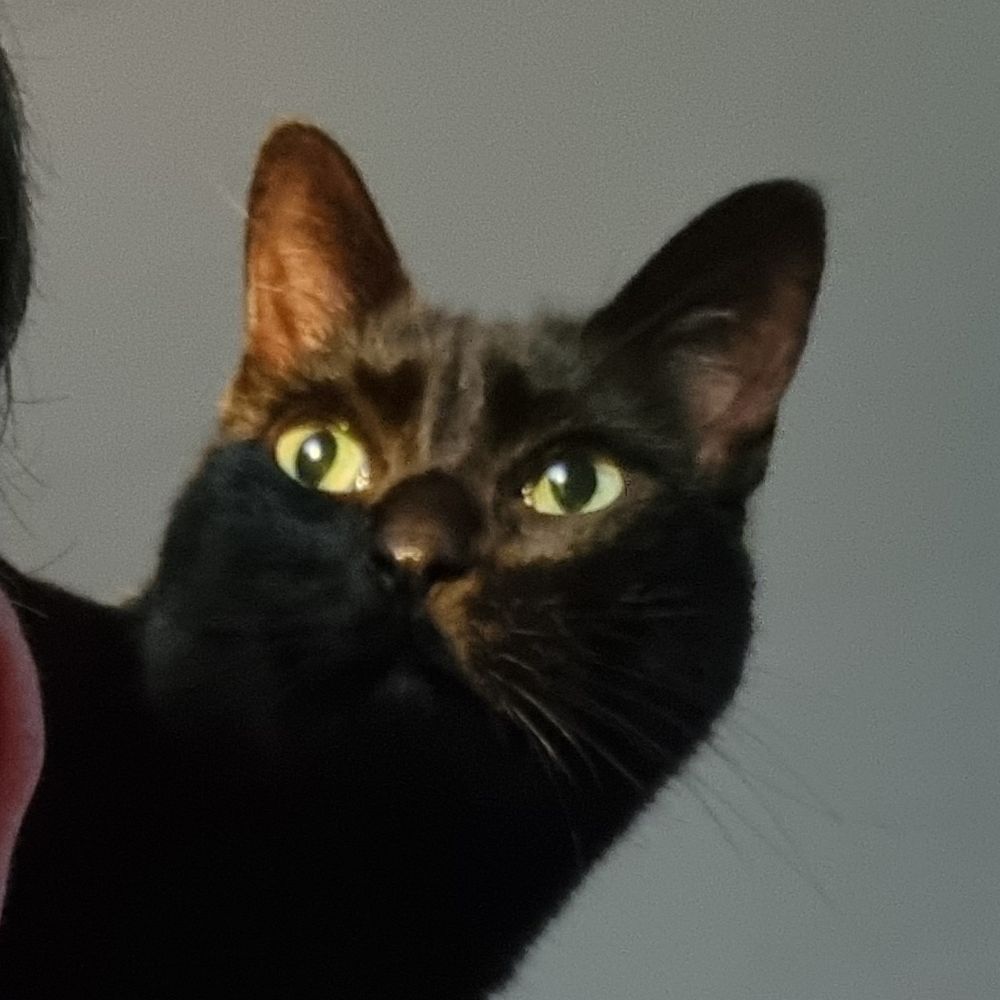 Helge (DG0NF)