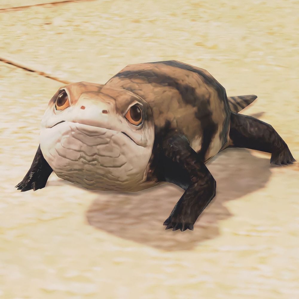 ゆふ