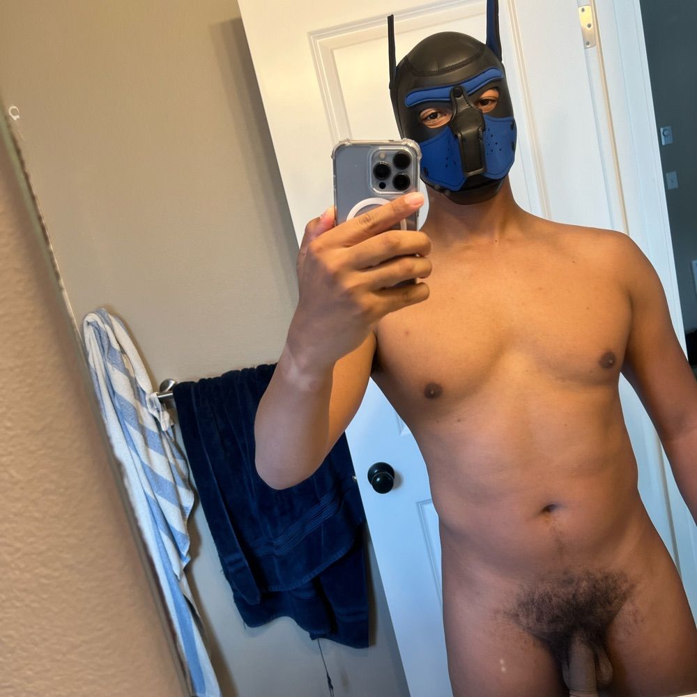 PDX Muscle Pup