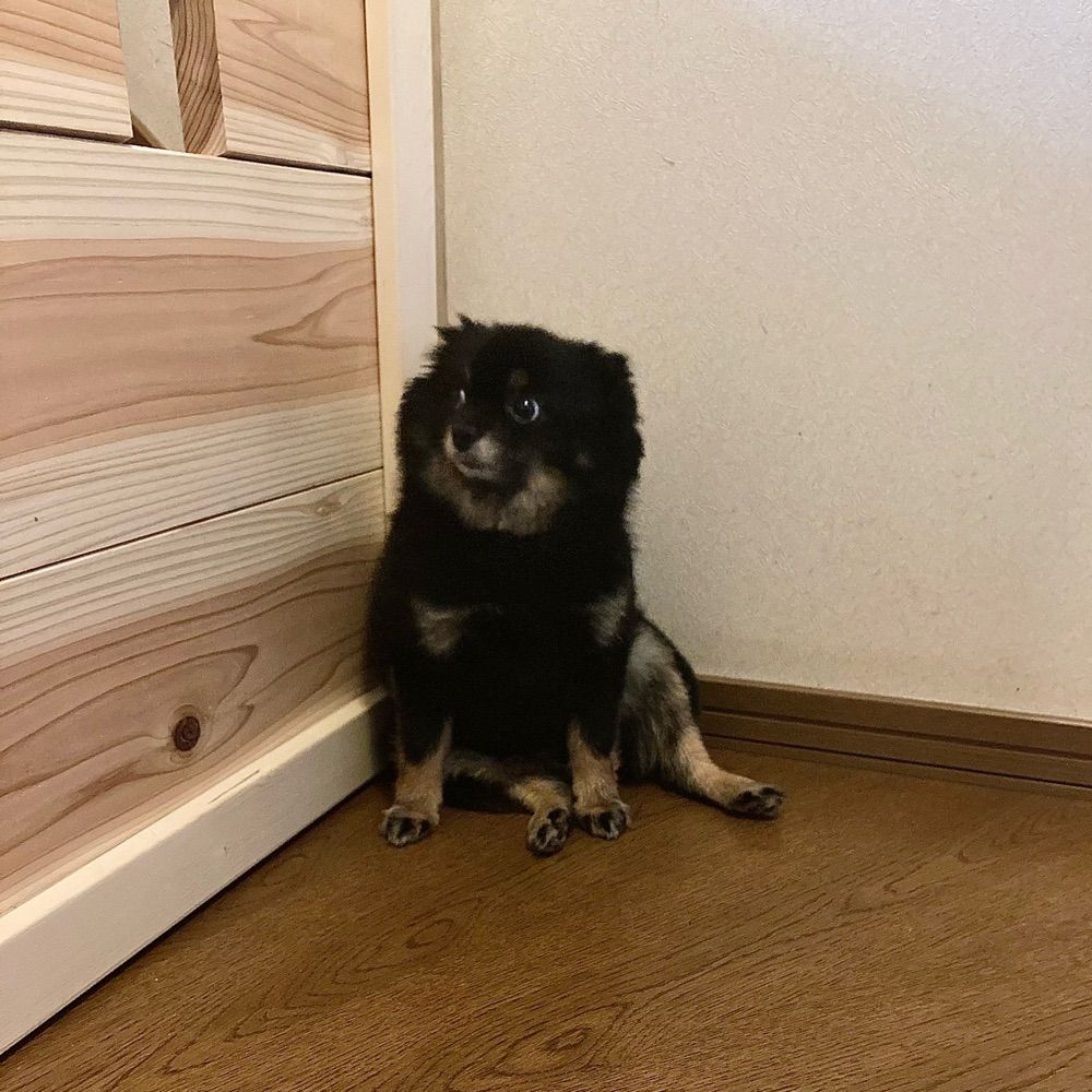 ぬめぼん