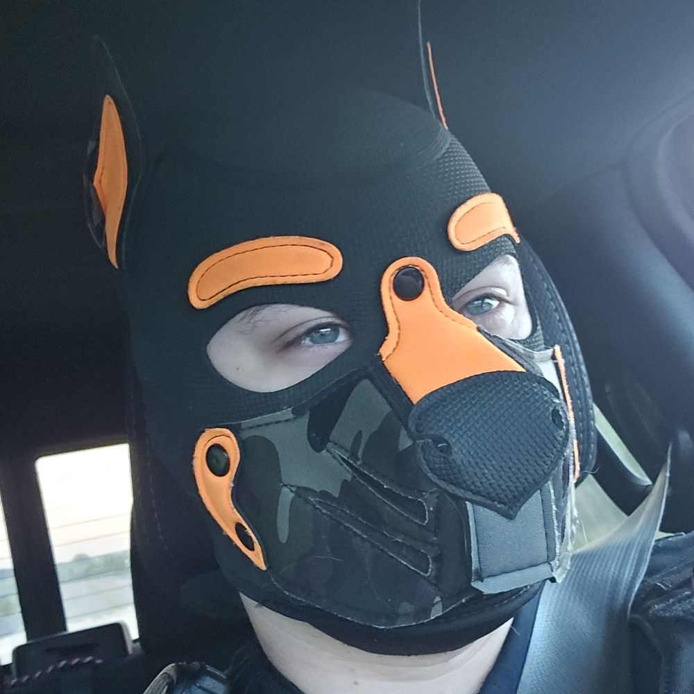 LeatherPupColt