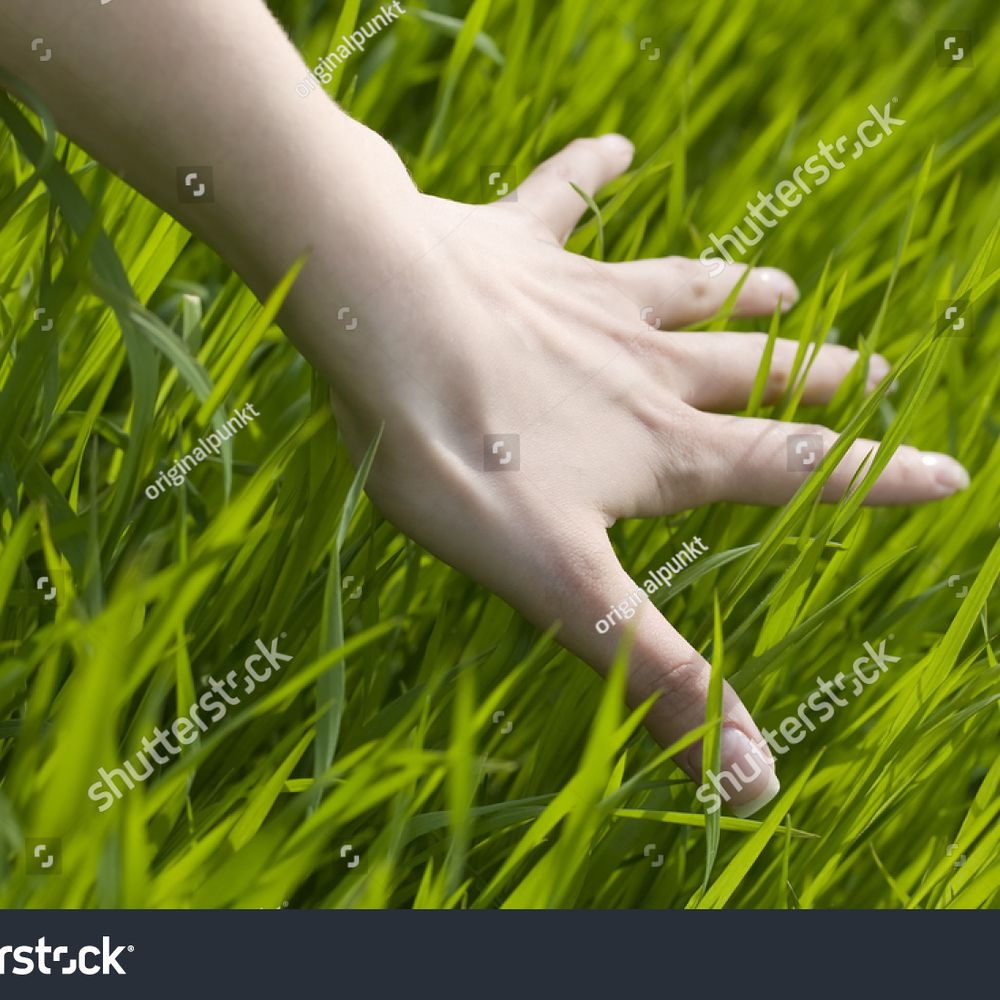 A Laborer