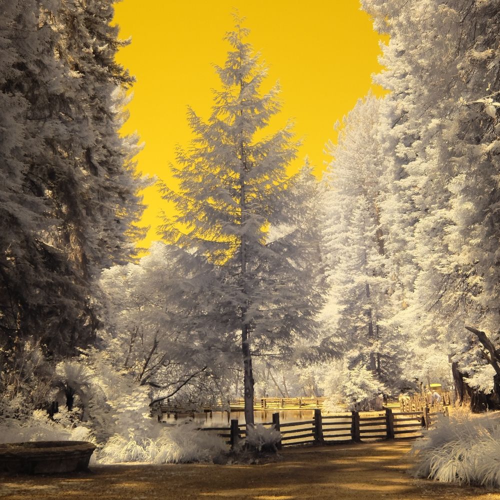 Mandersong Photography