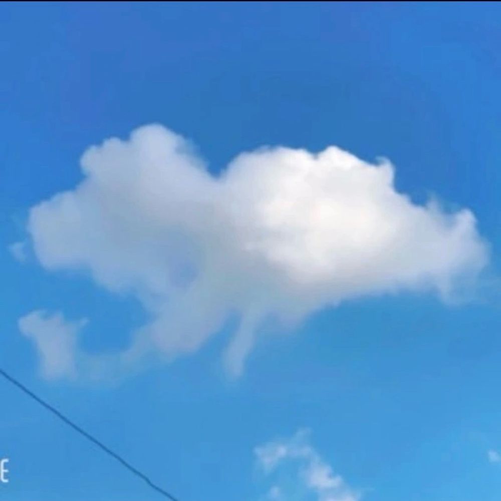 ぱもぱ