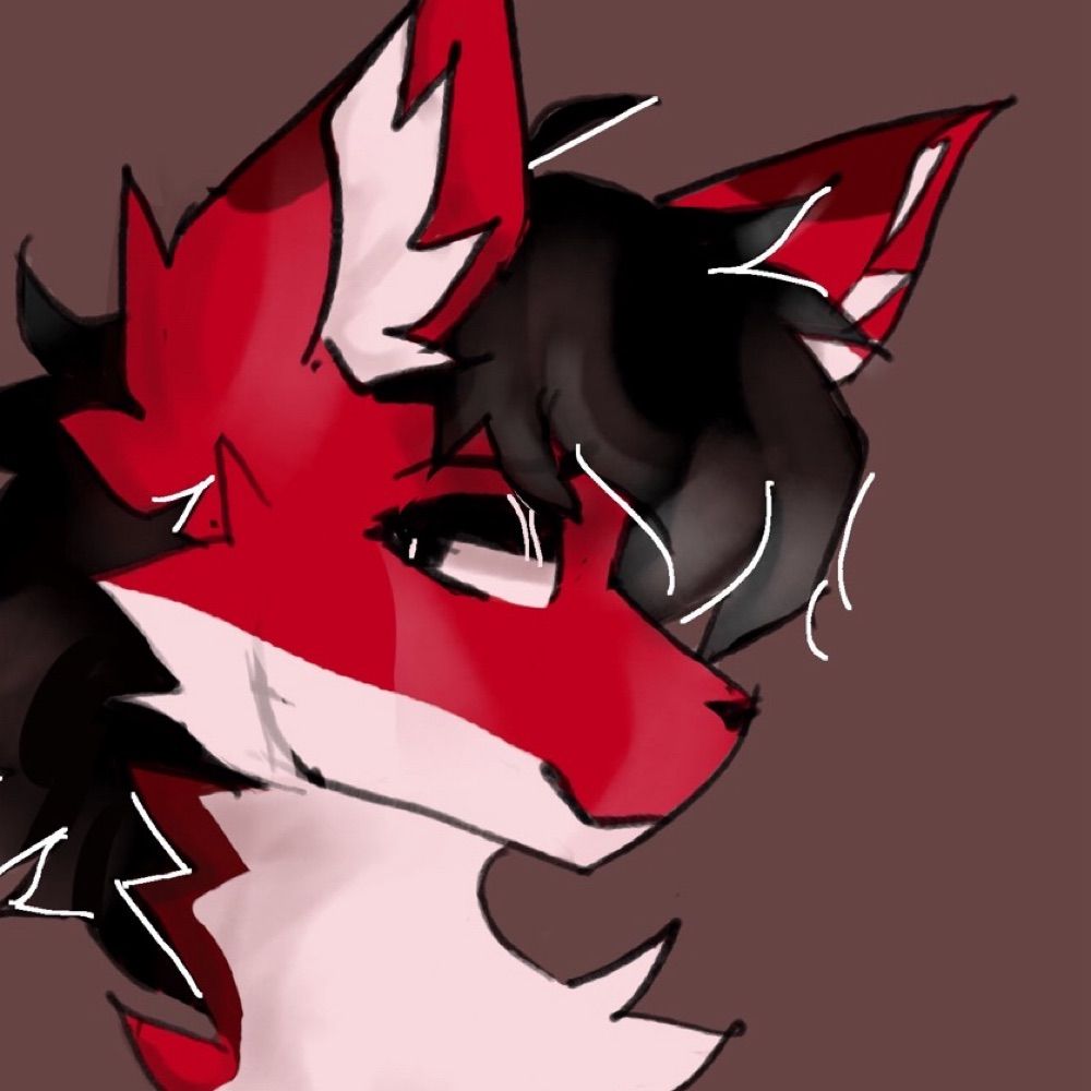 Sydge