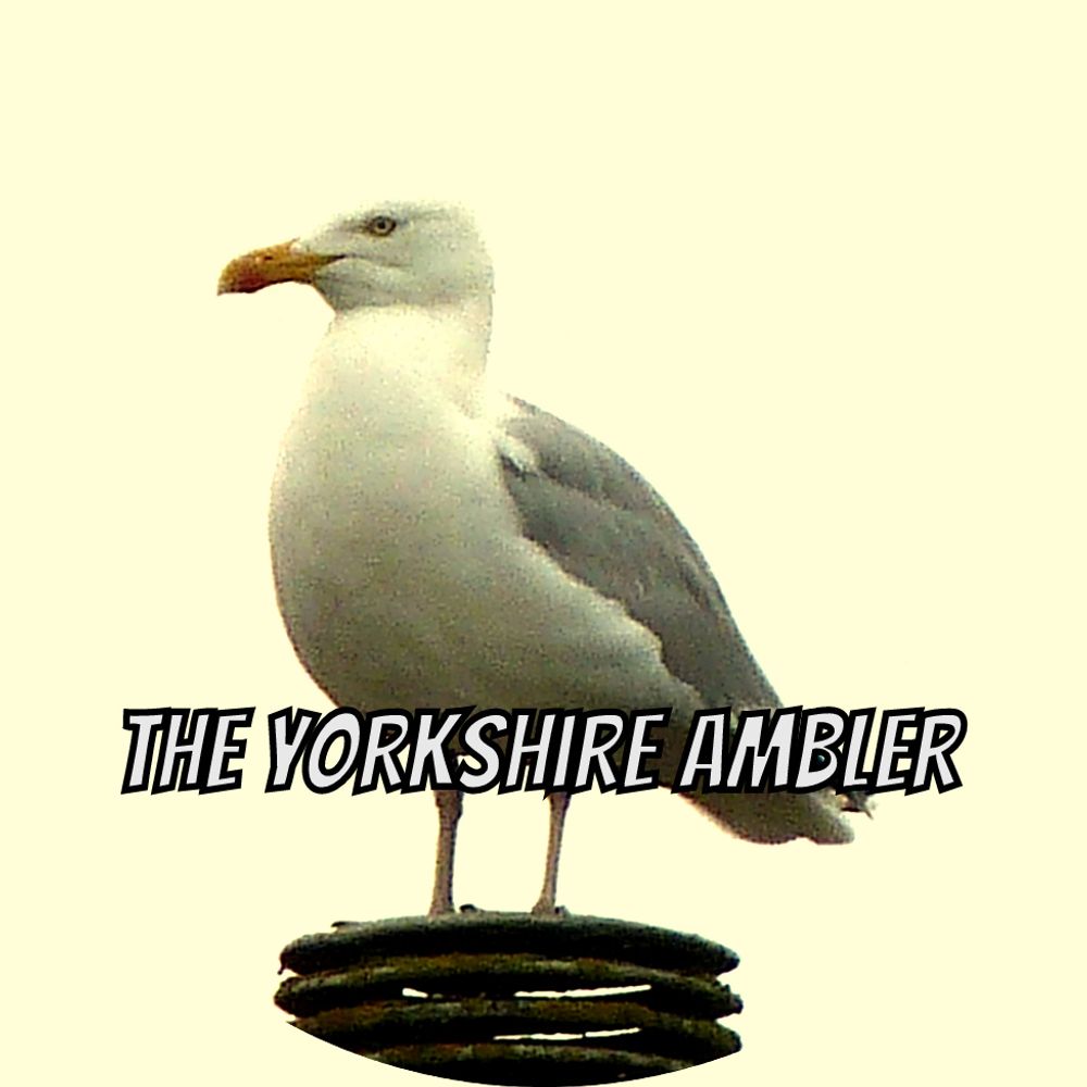 The Yorkshire Ambler