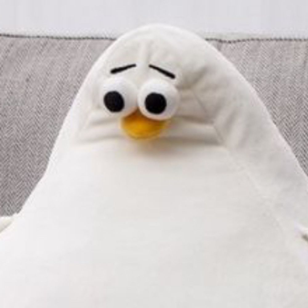 보보