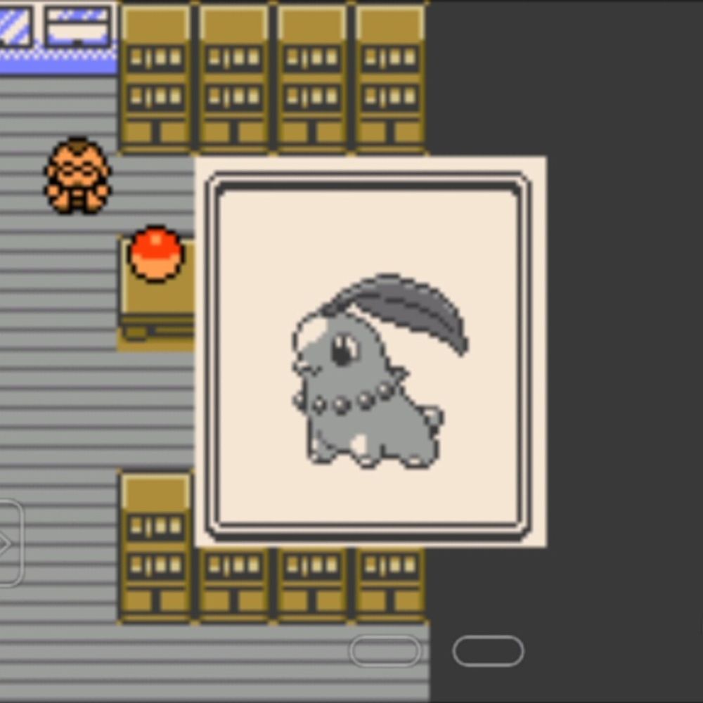 boboru!