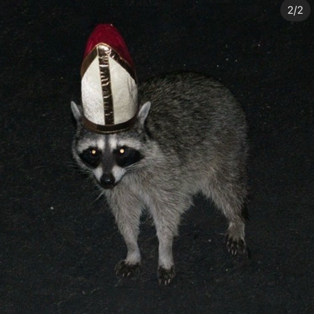 Avant Bard