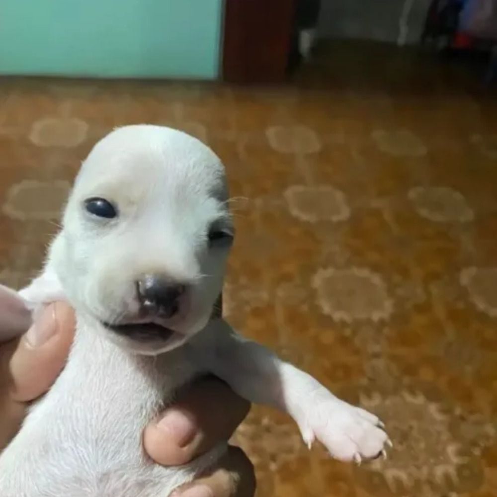 AAAAAAAAAAAAAA