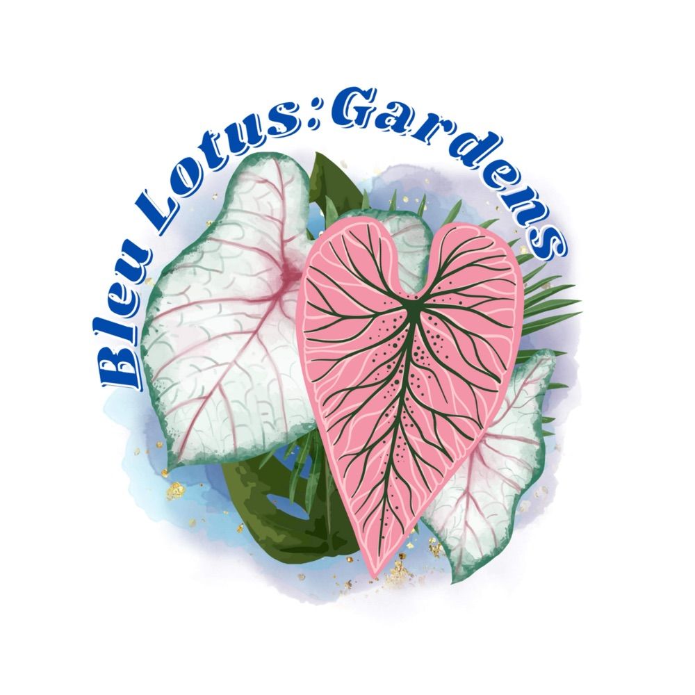 Bleu Lotus:Gardens