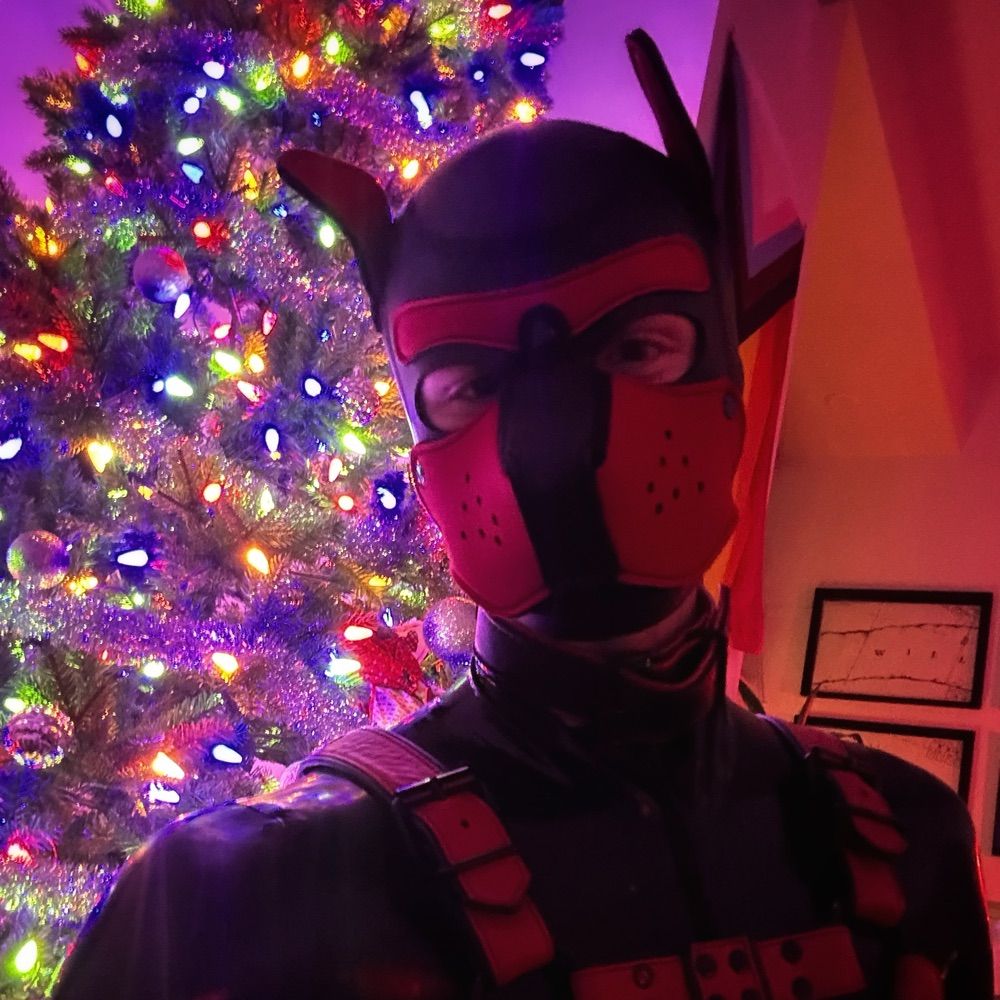 Pup Vanos