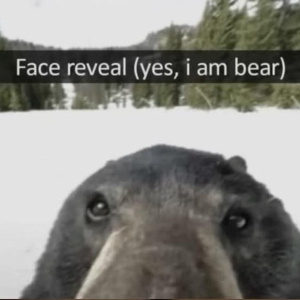 🔞🐻🏳️‍🌈