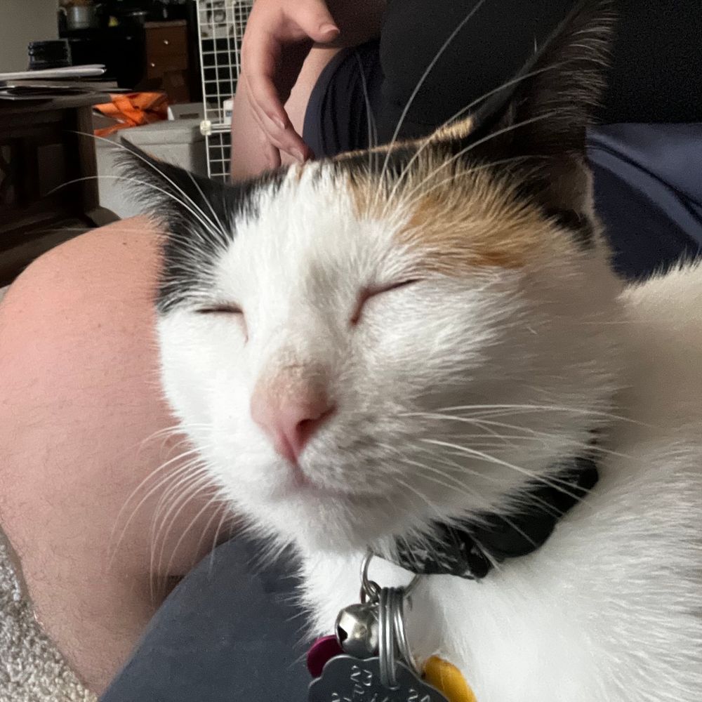 Beeboop