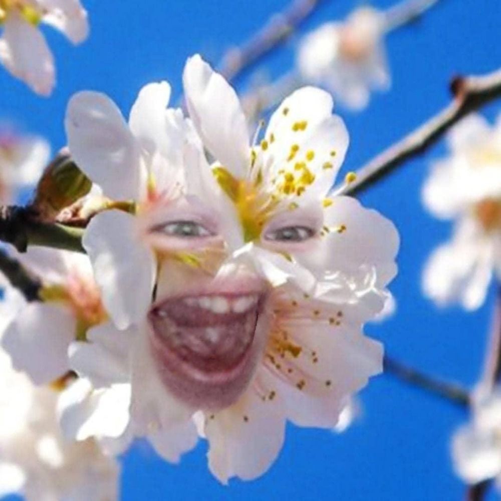 LizaVP